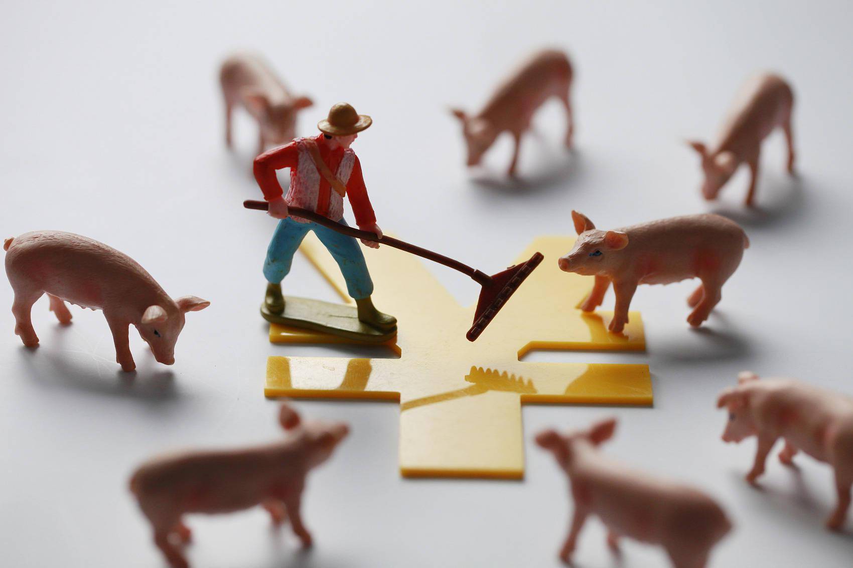 预亏200亿后,转让8家子公司,被质疑申请破产,“养猪大王”正邦科技收关注函1