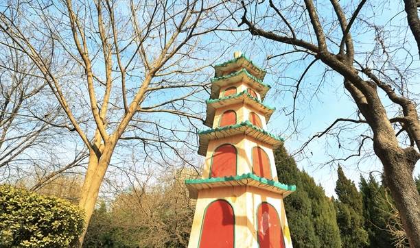 石家庄平安公园腊梅花开,腊梅飘香迎新春,众多市民前来赏花1