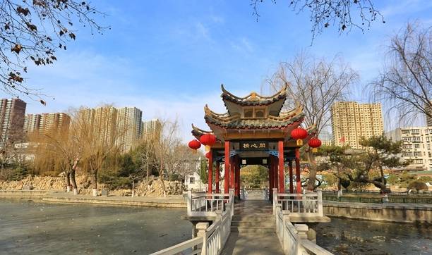 石家庄平安公园腊梅花开,腊梅飘香迎新春,众多市民前来赏花2