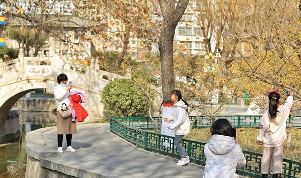 石家庄平安公园腊梅花开,腊梅飘香迎新春,众多市民前来赏花6