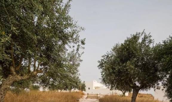 爱马仕主管开的民宿,极简主义才有的高级2