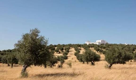 爱马仕主管开的民宿,极简主义才有的高级4