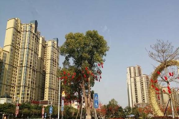 春节游广西，自驾柳州河池，直奔古镇、网红地（柳州河池游1）1