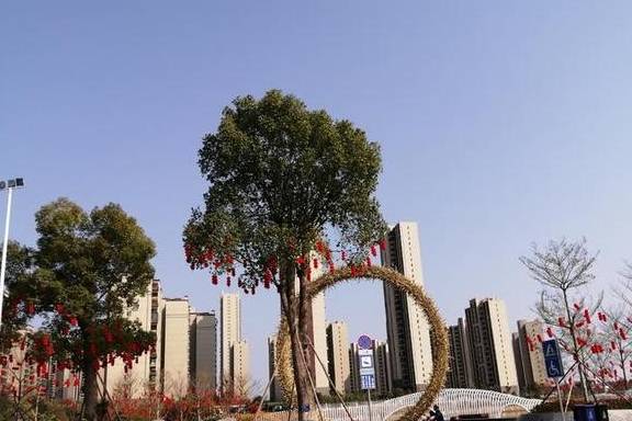 春节游广西，自驾柳州河池，直奔古镇、网红地（柳州河池游1）6