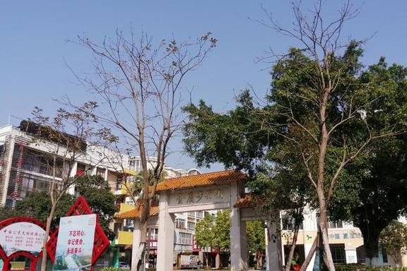 春节游广西，自驾柳州河池，直奔古镇、网红地（柳州河池游1）8