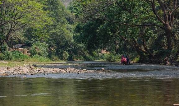 泰北玫瑰不只有兰花，清迈骑大象千万不可错过1