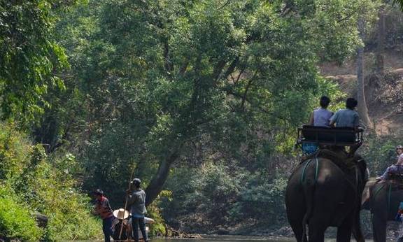 泰北玫瑰不只有兰花，清迈骑大象千万不可错过2