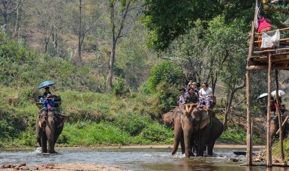 泰北玫瑰不只有兰花，清迈骑大象千万不可错过4