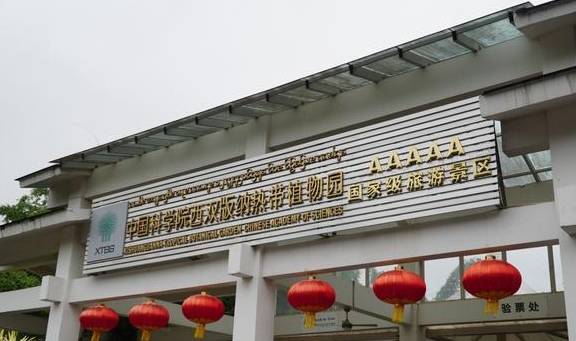 东阿阿胶证实前总裁副总裁同时被调查,股价开年已缩水62亿元1