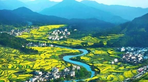又是一年菜花黄，踏青赏春最美乡村江西婺源，邂逅最撩人的春天2