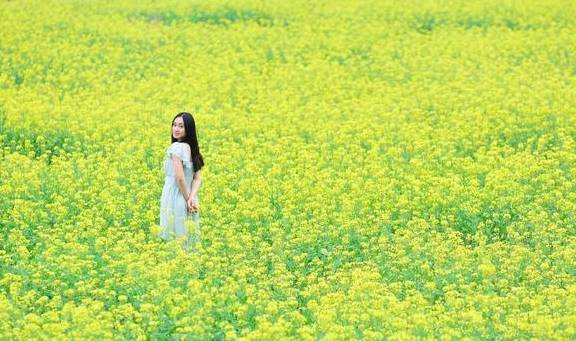 又是一年菜花黄，踏青赏春最美乡村江西婺源，邂逅最撩人的春天6