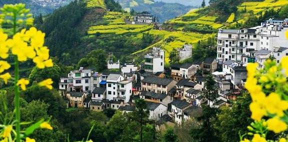 又是一年菜花黄，踏青赏春最美乡村江西婺源，邂逅最撩人的春天7