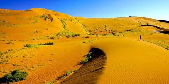 超“66号公路”的京新高速,途经10种风光,遇见9种色彩,心动没21