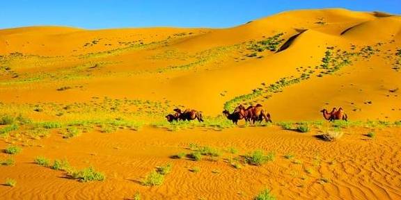 超“66号公路”的京新高速,途经10种风光,遇见9种色彩,心动没22