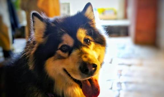 “艳遇之都”丽江古城:一个灯红酒绿的夜晚,我艳遇了它5