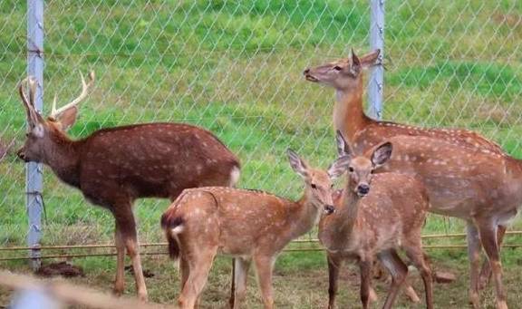 让我们红尘作伴活得潇潇洒洒，策马奔腾仰天湖大草原共享人世繁华8