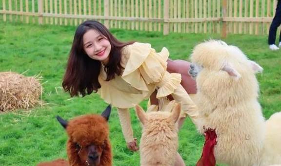 让我们红尘作伴活得潇潇洒洒，策马奔腾仰天湖大草原共享人世繁华11