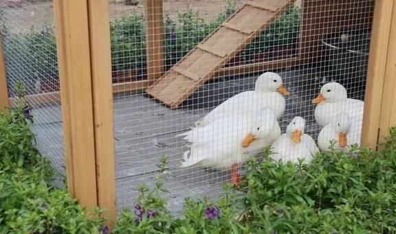 让我们红尘作伴活得潇潇洒洒，策马奔腾仰天湖大草原共享人世繁华12