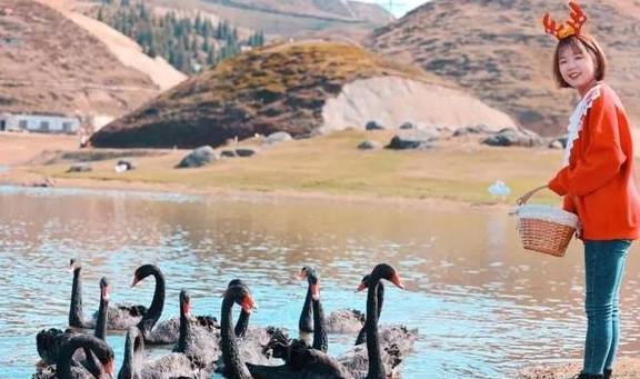 让我们红尘作伴活得潇潇洒洒，策马奔腾仰天湖大草原共享人世繁华14