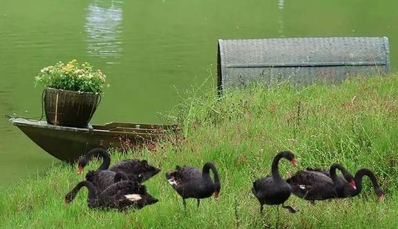 让我们红尘作伴活得潇潇洒洒，策马奔腾仰天湖大草原共享人世繁华15