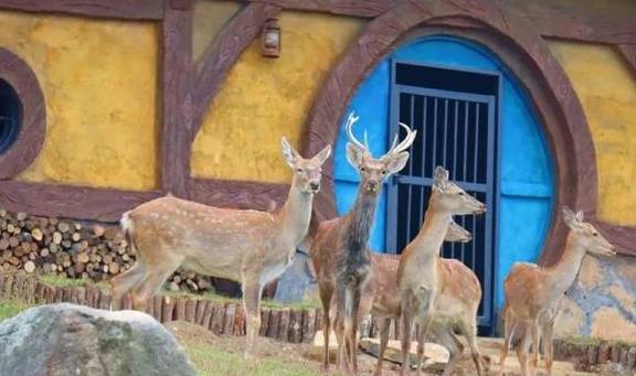 让我们红尘作伴活得潇潇洒洒，策马奔腾仰天湖大草原共享人世繁华9