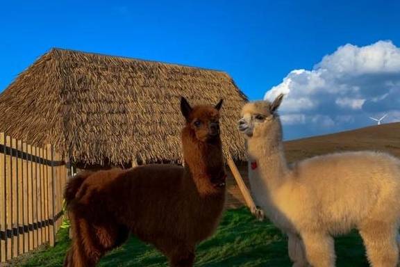 让我们红尘作伴活得潇潇洒洒，策马奔腾仰天湖大草原共享人世繁华10