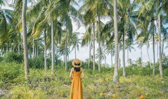 三亚旅行攻略丨十大值得打卡的免费小众景点+必吃美食10