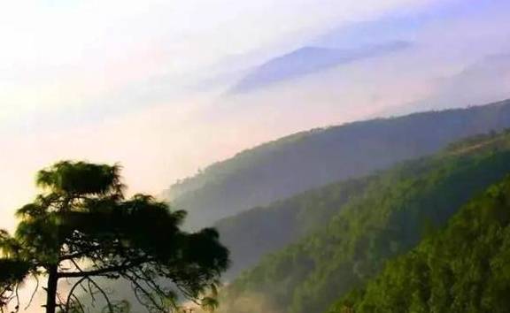 隐于林,悦于心,来给你一个养心居所11