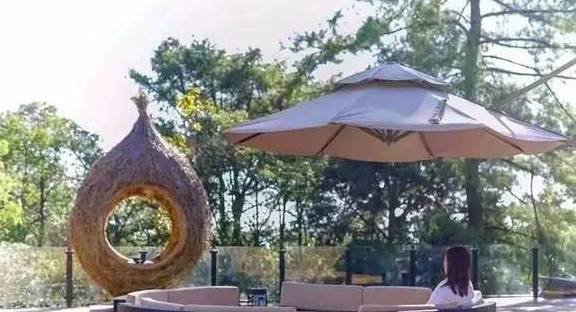 隐于林,悦于心,来给你一个养心居所12