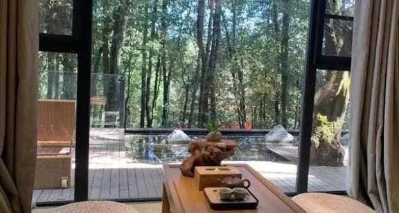 隐于林,悦于心,来给你一个养心居所5