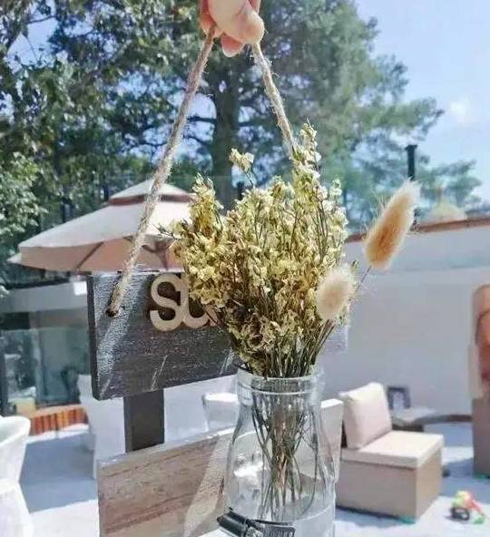 隐于林,悦于心,来给你一个养心居所6