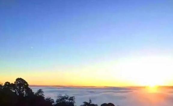 隐于林,悦于心,来给你一个养心居所13