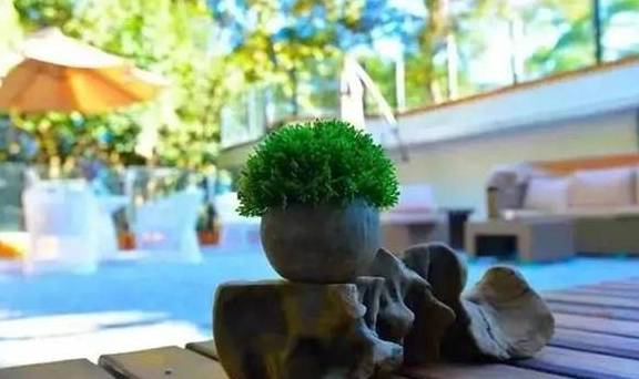 隐于林,悦于心,来给你一个养心居所14