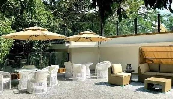 隐于林,悦于心,来给你一个养心居所15