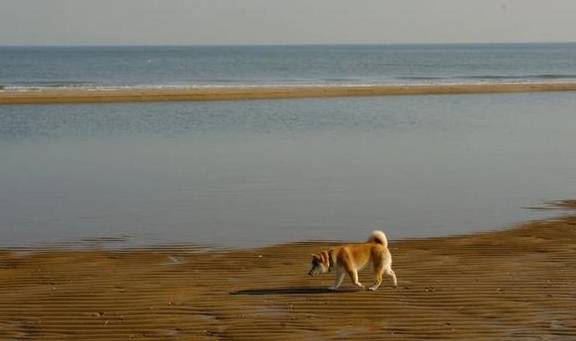 我从海边回来了，淡季的阿那亚就三个字：值得去6