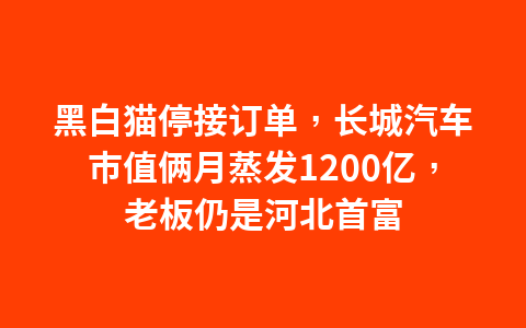 黑白猫停接订单，长城汽车市值俩月蒸发1200亿，老板仍是河北首富1