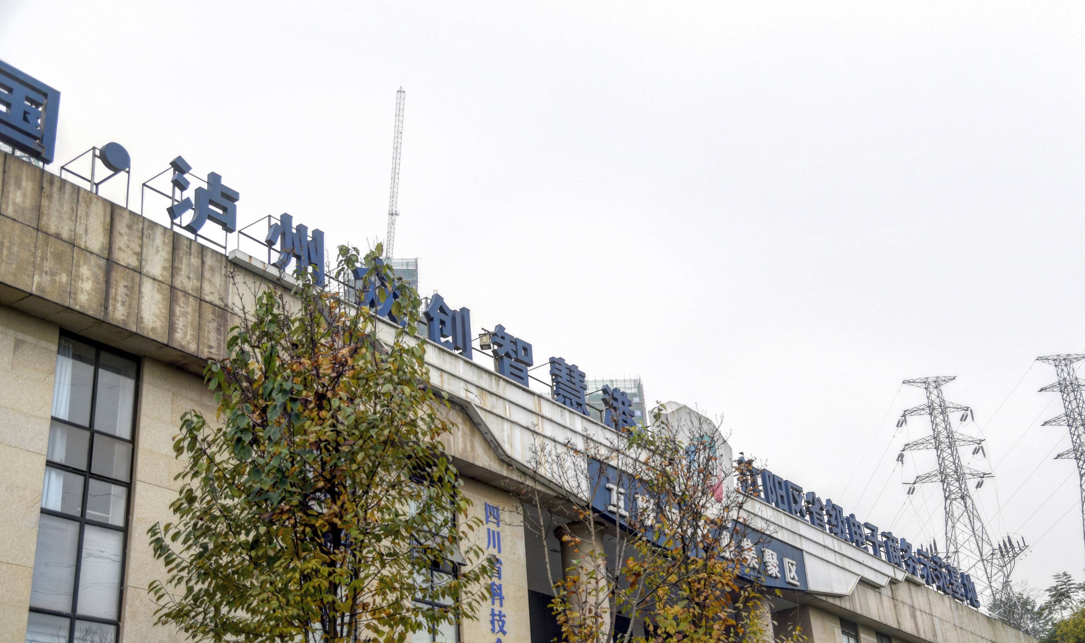 北回归线上著名的桂圆胜地,百年桂圆树多达上万株,就在四川泸州1