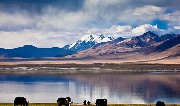 中尼边境的世外桃源:位于绝美的雪山下,毫无污染极其纯净5