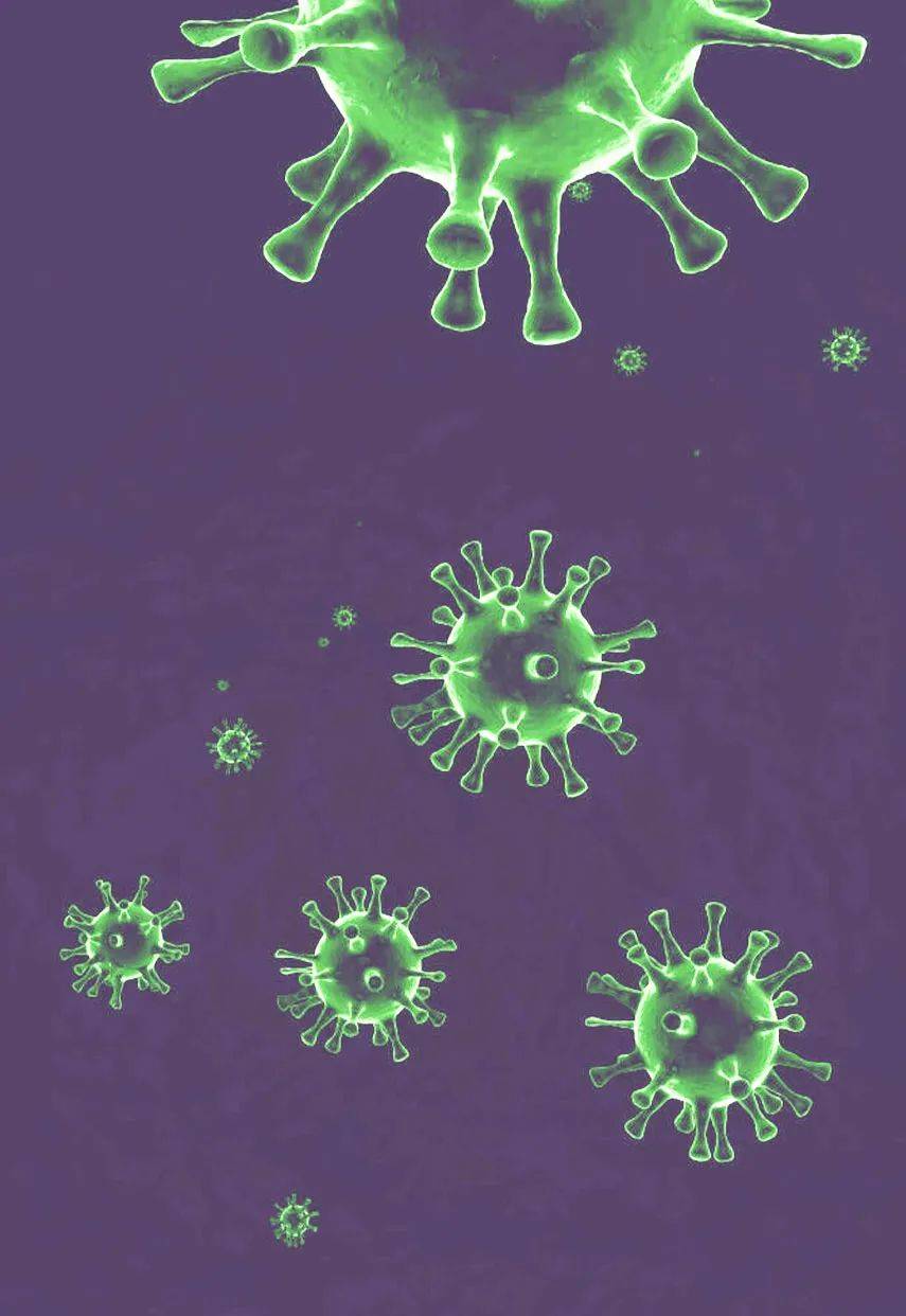 科兴科学园打工人的倔强:“跑毒”带主机,园区坐拥50家上市公司1