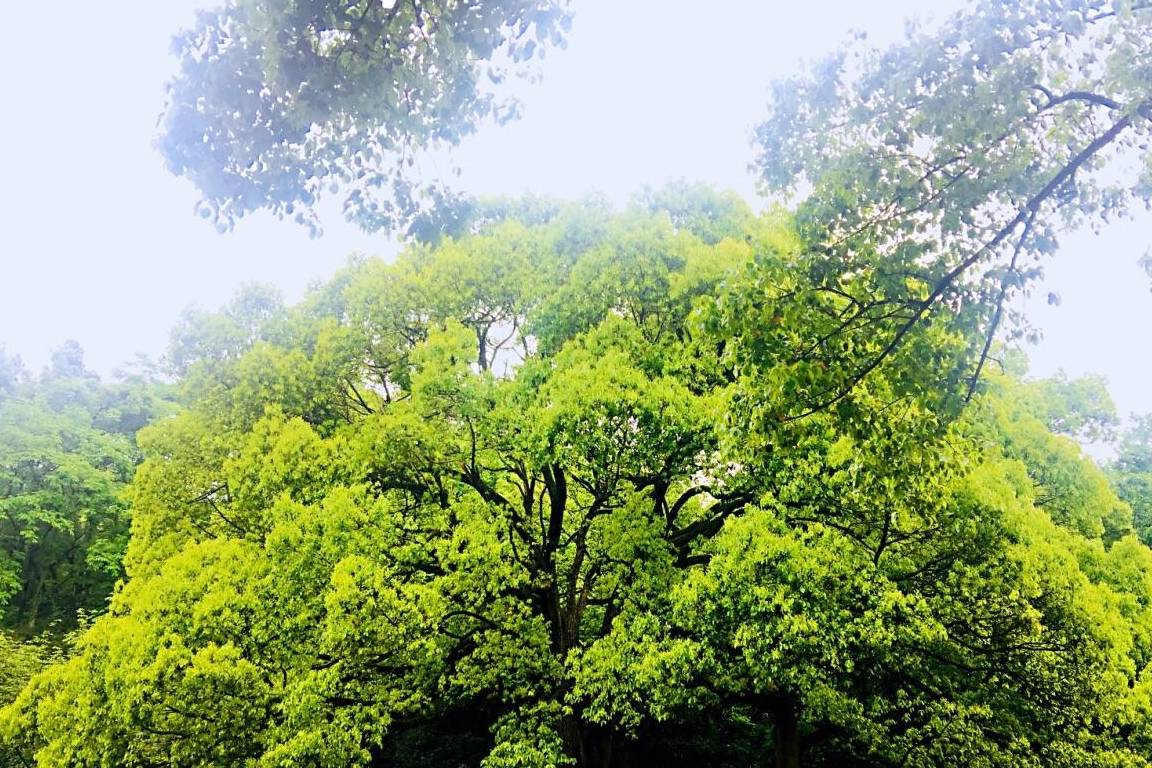 原创 杭州春园首选之地，内有九个展览区和四个实验区，门票仅十元2