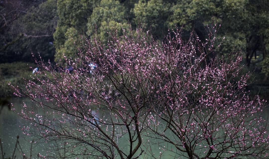 原创 杭州春园首选之地，内有九个展览区和四个实验区，门票仅十元4