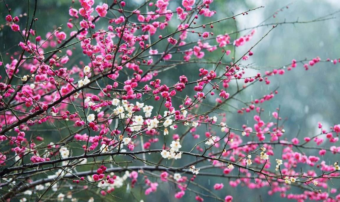 原创 杭州春园首选之地，内有九个展览区和四个实验区，门票仅十元5