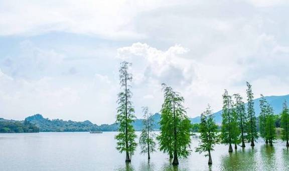 原创 广东有个神奇的湿地公园，能看到“卧佛含丹”的壮观景象，想看吗2