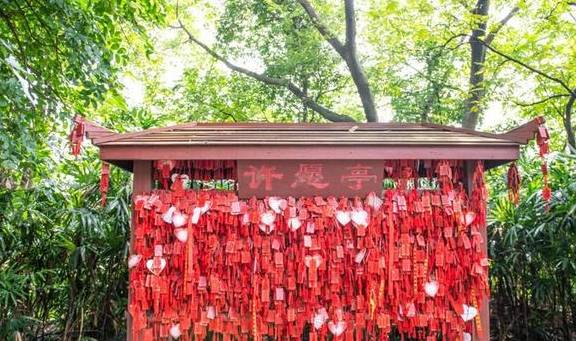 原创 广东有个神奇的湿地公园，能看到“卧佛含丹”的壮观景象，想看吗3