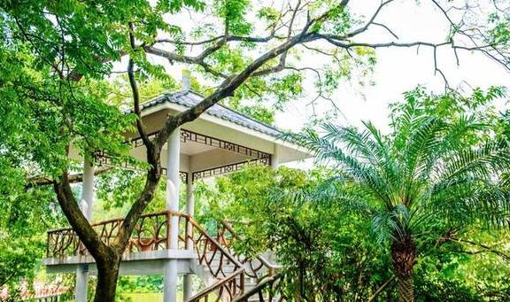 原创 广东有个神奇的湿地公园，能看到“卧佛含丹”的壮观景象，想看吗7