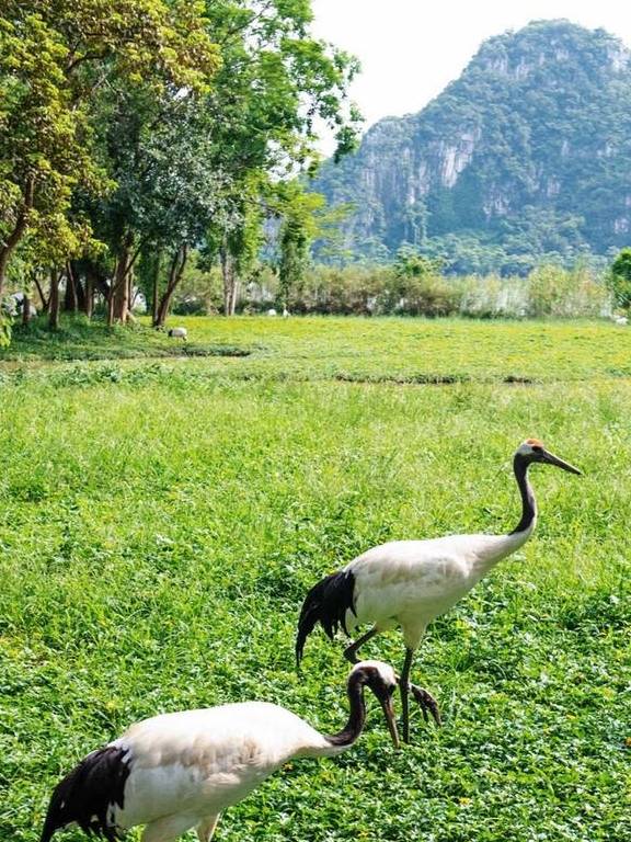 原创 广东有个神奇的湿地公园，能看到“卧佛含丹”的壮观景象，想看吗12