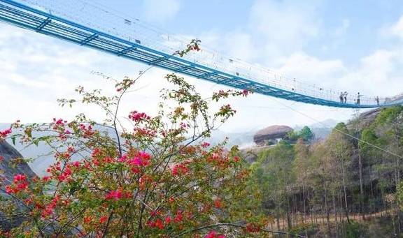 春色满园马头山,丹霞花儿盛开闹元宵8