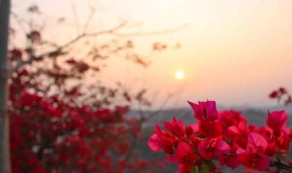 春色满园马头山,丹霞花儿盛开闹元宵22