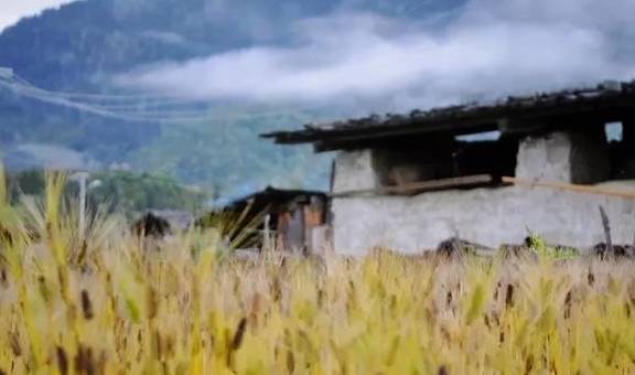 原创 走走停停，兜兜转转，盘点国内最适合一个人旅行的7大目的地8