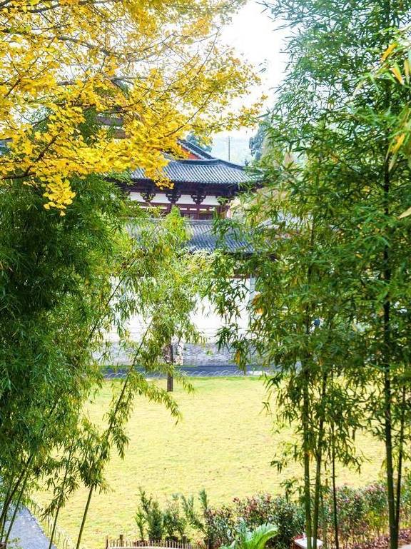 原创 杭州径山寺:绝佳打卡圣地,在此旅行有治愈放松的舒适感,想去吗1
